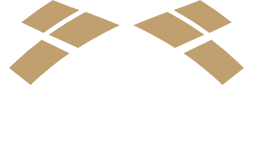 FlexSim logo